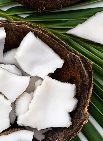 CoconutChunks-CaprylicCapric CROPPED