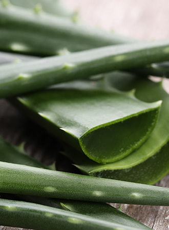 ingredient-slider-aloe-vera