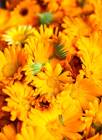 ingredient-slider-marigold