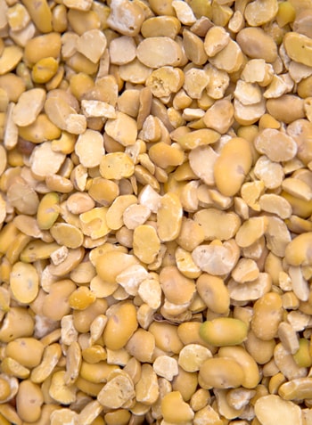 ArganSeeds