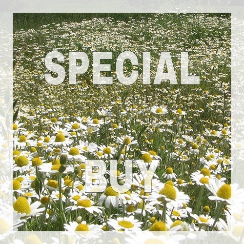 Field of Daisies Fragrance Oil (DISC)