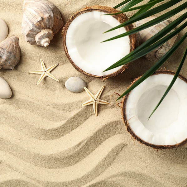 Beach Vibes Fragrance Oil