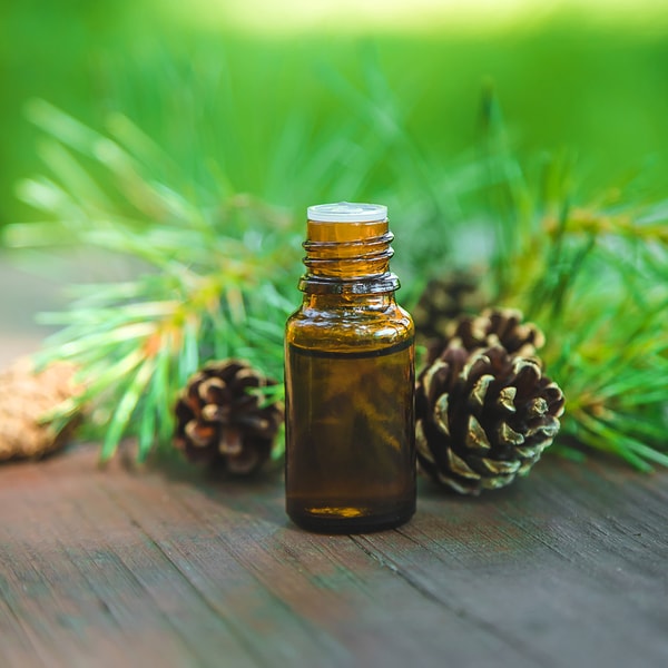 Cedarwood Pure Essential Oil