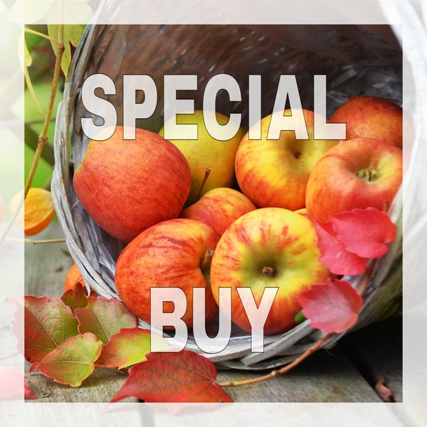 Country Apple Fragrance Oil (Discontinued)
