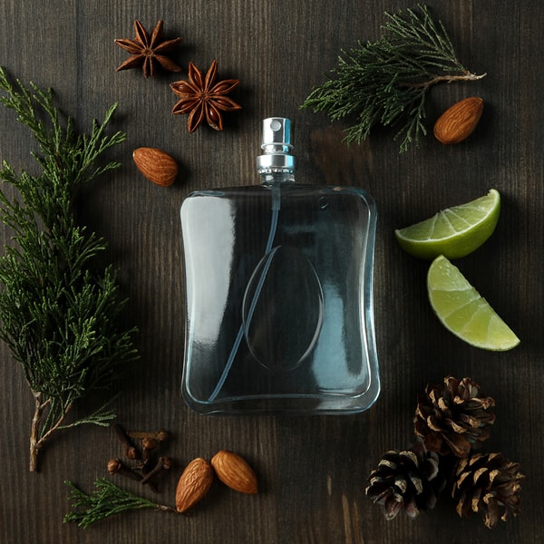 Fierce * Abercrombie & Fitch Type Fragrance Oil