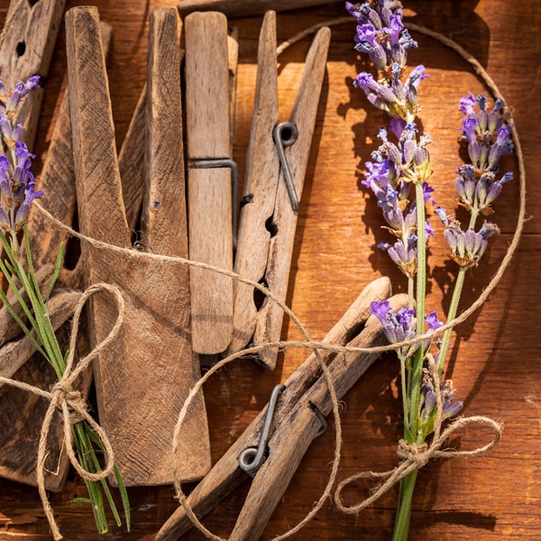 Lavender Provençal * BBW Type Fragrance Oil