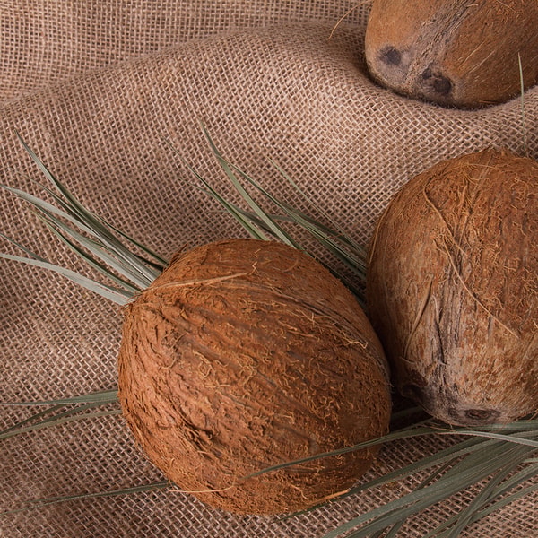 Mahogany Coconut * BBW Type Fragrance Oil