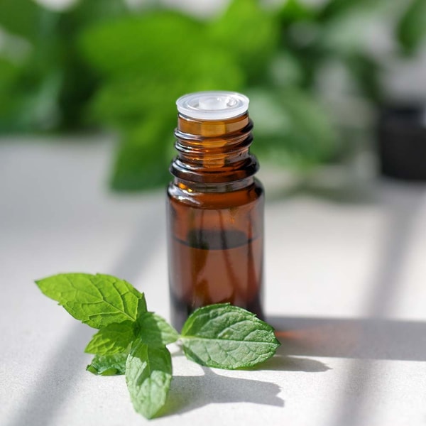 Peppermint Pure Essential Oil