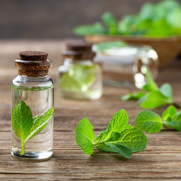 Spearmint Pure Essential Oil