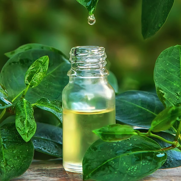 Tea Tree Pure Essential Oil