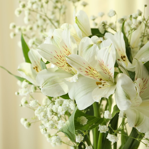 Tuberose Fragrance Oil