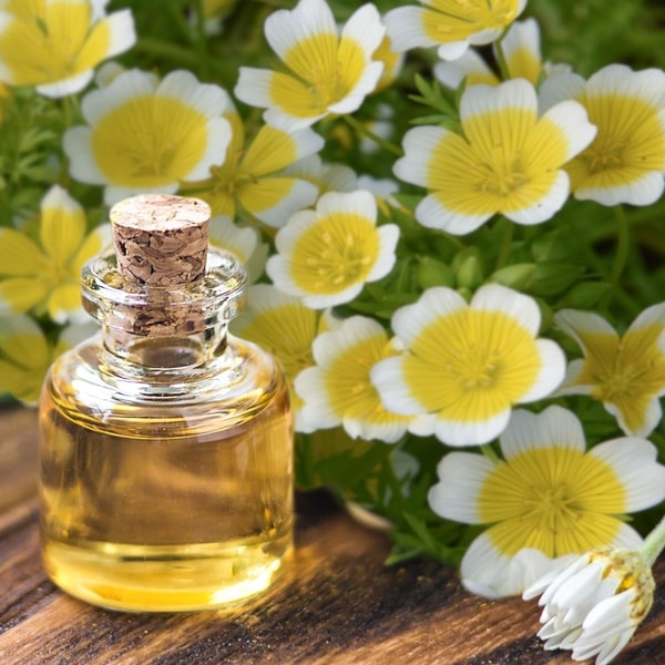 Meadowfoam Seed Oil