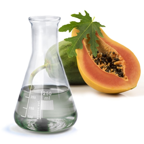 Papaya Extract