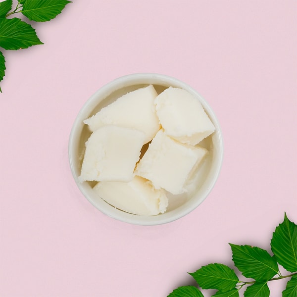 Lotion Bar & Balm Base