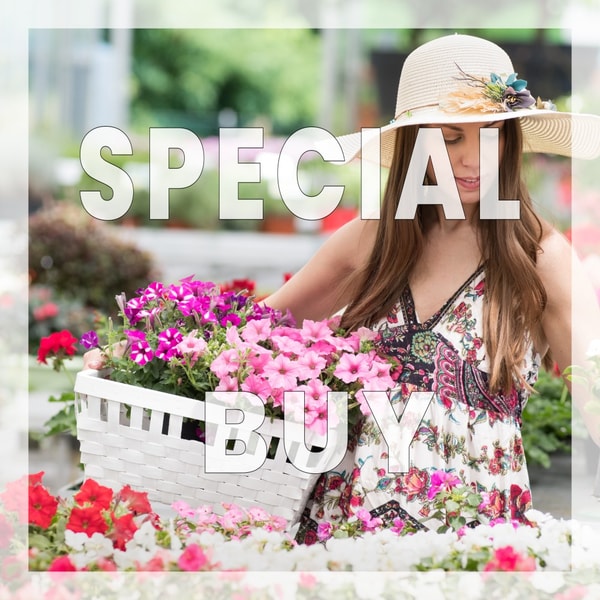 Spring Garden Fragrance Oil (DISC)