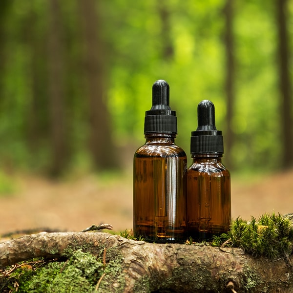 Eucalyptus and Moss Fragrance Oil